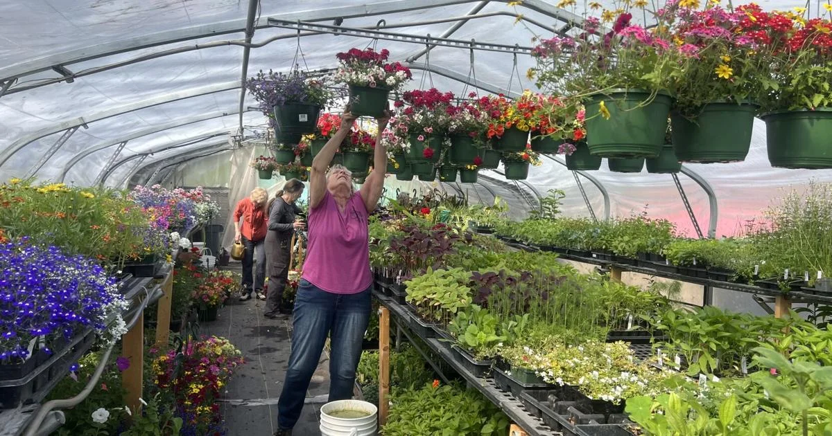 Hospice plant sale is Saturday