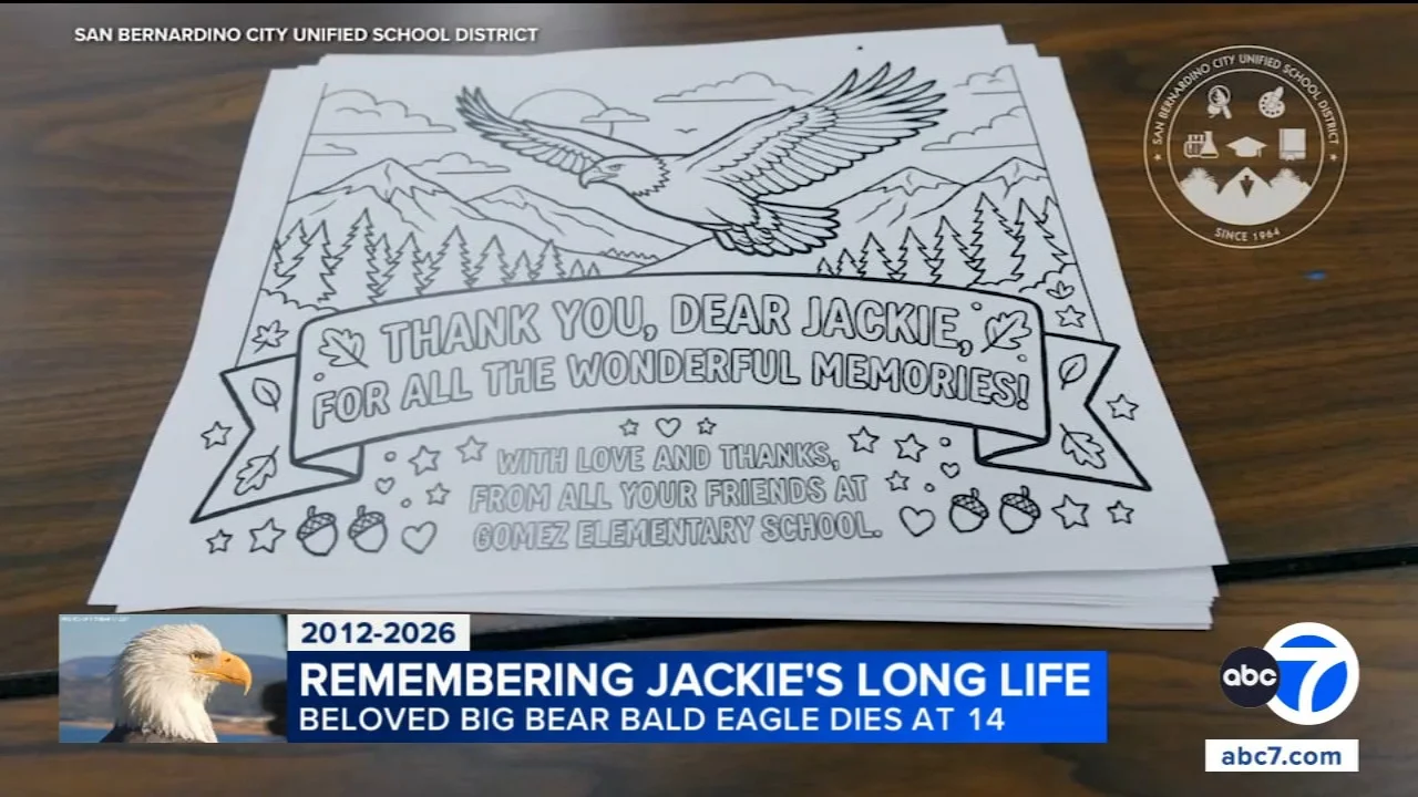 Bald eagle Jackie's death turns into lesson in nature and grief for SoCal students