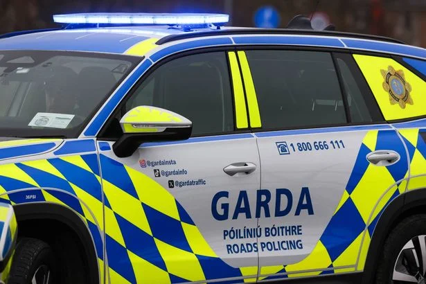 'Welcome news' as 10 new Gardaí deployed in communities across Dublin Mid West