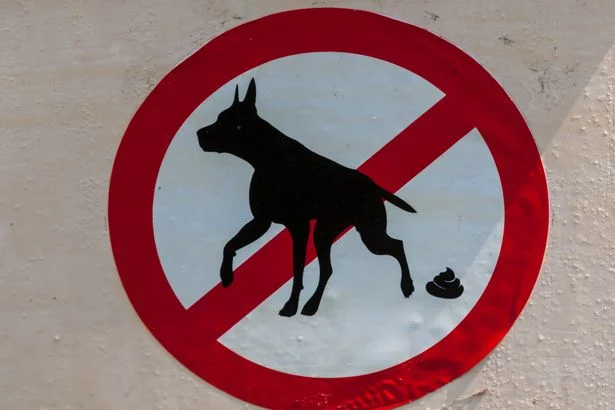 Increased dog fouling fines make 'good headlines' but miss 'real problem'