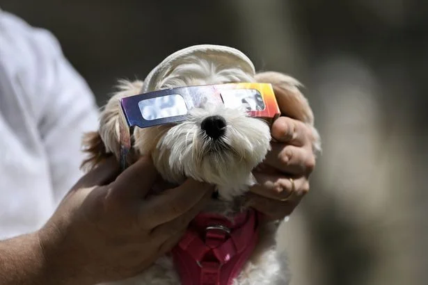 Where to get safe solar eclipse glasses in Dublin and how to spot fakes