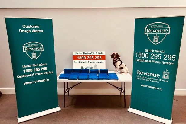 Revenue seize cocaine worth over €1.7 million at Dublin Port with help of drug dog Darcy
