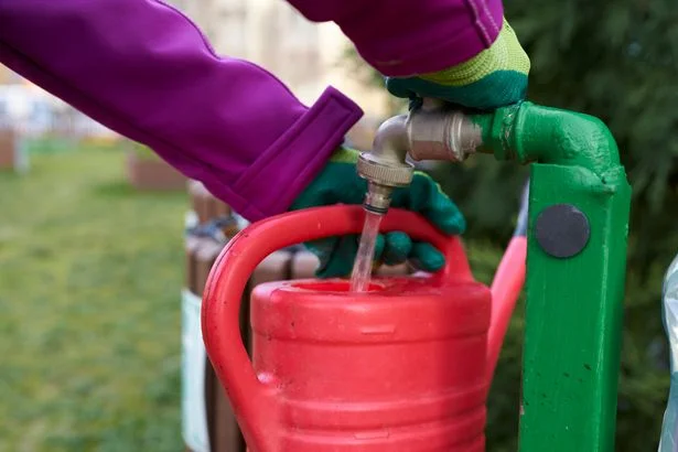Top tips to save water in your home and garden as Dublin hosepipe ban to kick in