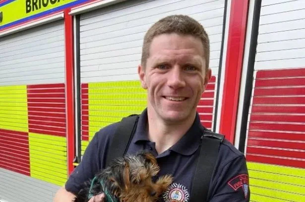 Woman raped by Dublin firefighter Terence Crosbie files lawsuit over alleged name leak