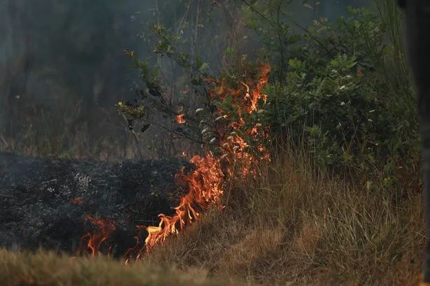 Deadly wildfires see hotels evacuated near major French city as tourists warned