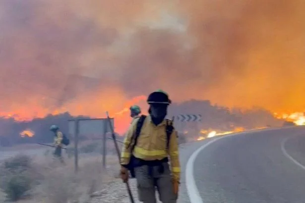 Dept of Foreign Affairs offers consular help to Irish citizens impacted by Spanish wildfires
