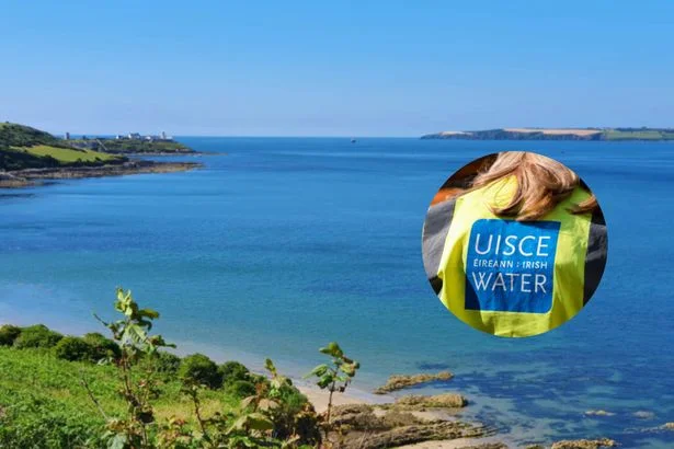 Irish Water defends 'Shop Your Neighbour' hosepipe ban hotline as nationwide ban looms