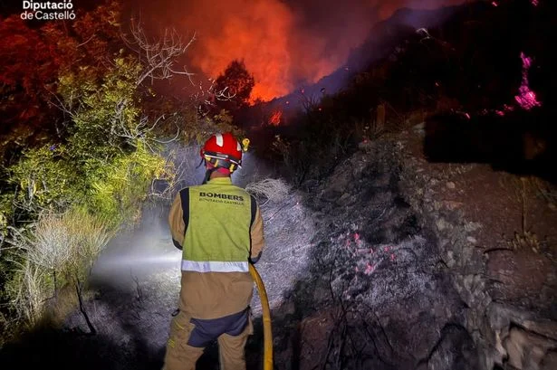 Los Gallardos wildfire: Tragedy as 12 dead as fire savages Spanish holiday hotspot