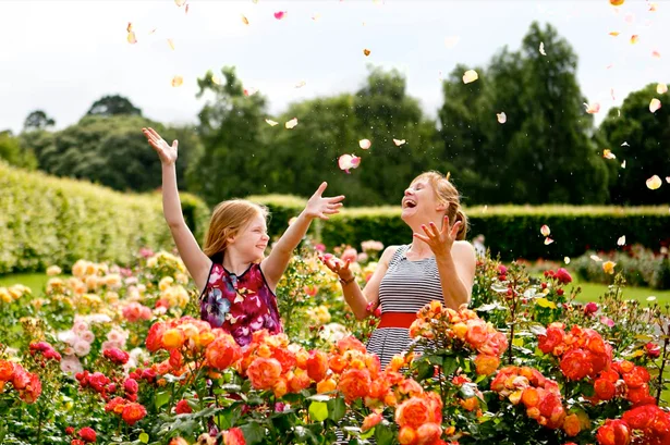 One of Dublin's most anticipated summer events returns to the Northside this weekend