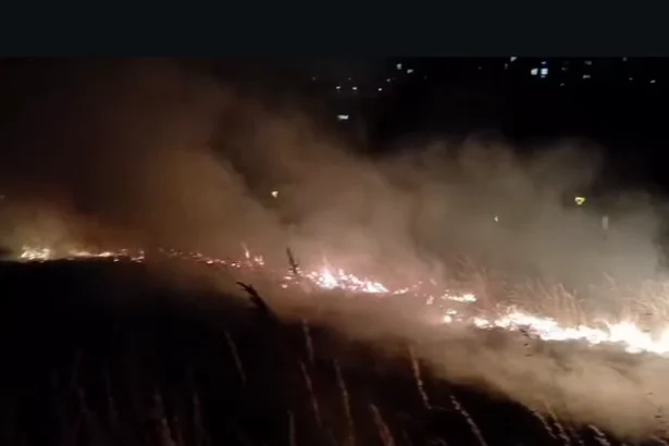 Fire rages in popular Dublin park for three nights in a row