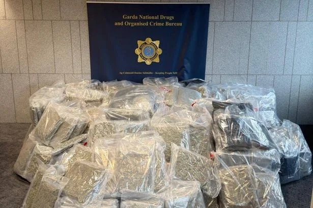 Gardai seize €8.5 million in cocaine and cannabis as two men arrested in Leinster