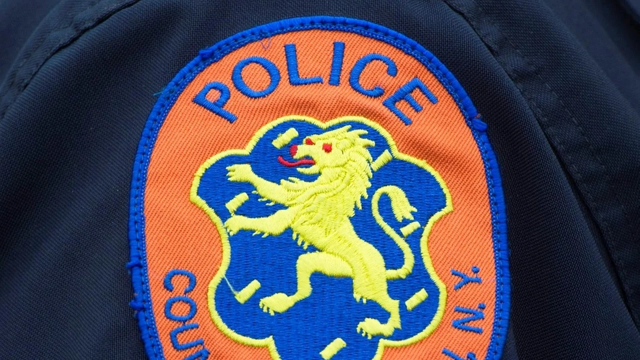 3 men face weapons, drug charges after police witness rifle transfer in Jericho