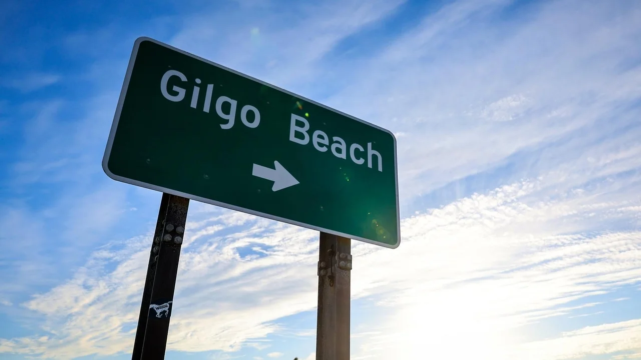 Newsday reviews cold cases from the 1990s. Could the Gilgo Beach serial killer be tied to any of the