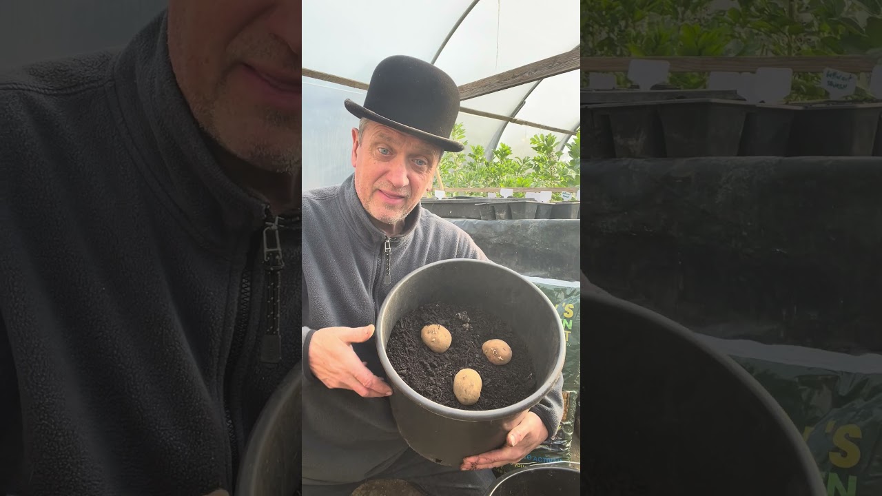 Grow Your Own Potatoes